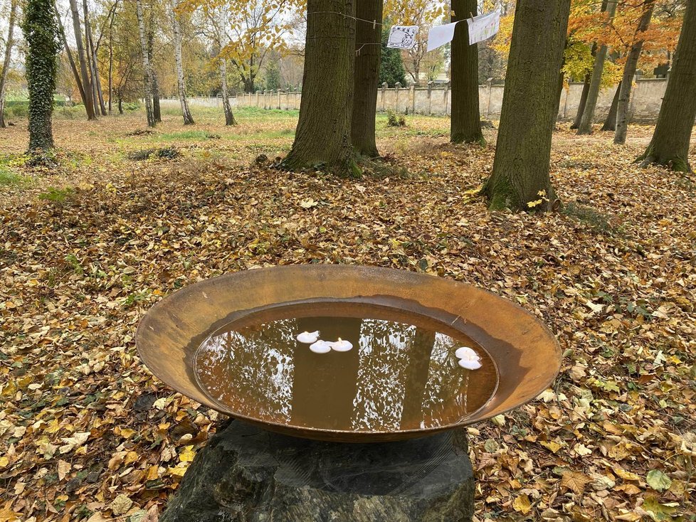 V Plzni otevřeli Lesní hřbitov, pohřbívat se tu bude ke kořenům stromů.