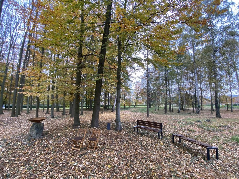 V Plzni otevřeli Lesní hřbitov, pohřbívat se tu bude ke kořenům stromů.