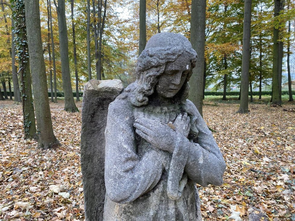 V Plzni otevřeli Lesní hřbitov, pohřbívat se tu bude ke kořenům stromů.