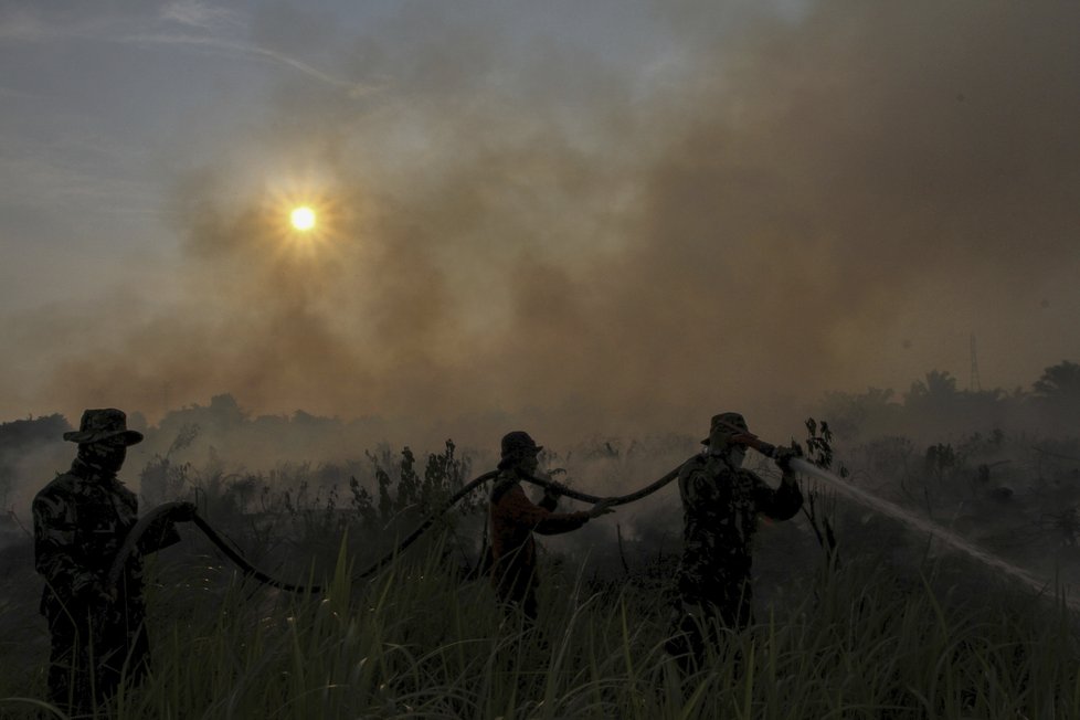 Lesní požáry zachvátily Indonésii, kouřem se dusí i lidé v Singapuru a Malajsii.