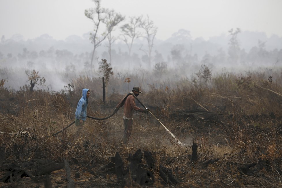 Lesní požáry zachvátily Indonésii, kouřem se dusí i lidé v Singapuru a Malajsii.