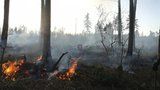 Na Novojičínsku hořel les: Situaci zhoršil vítr