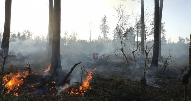 Na Novojičínsku v pátek hořel les (ilustrační foto)