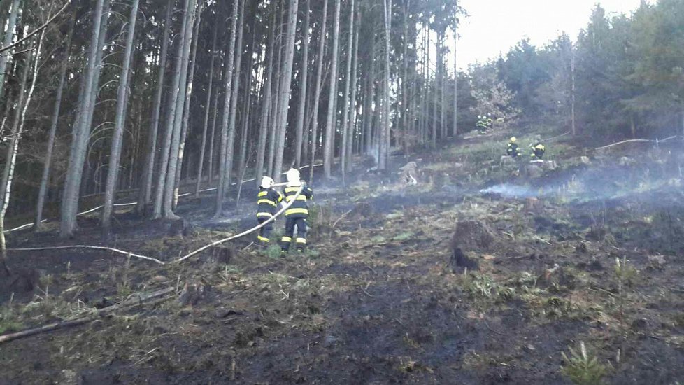 Osm hasičských jednotek bojovalo v pondělí večer s požárem ve vojenském újezdu Březina u Vyškova.