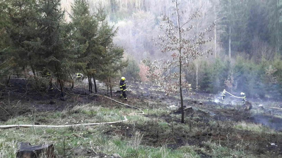 Osm hasičských jednotek bojovalo v pondělí večer s požárem ve vojenském újezdu Březina u Vyškova.