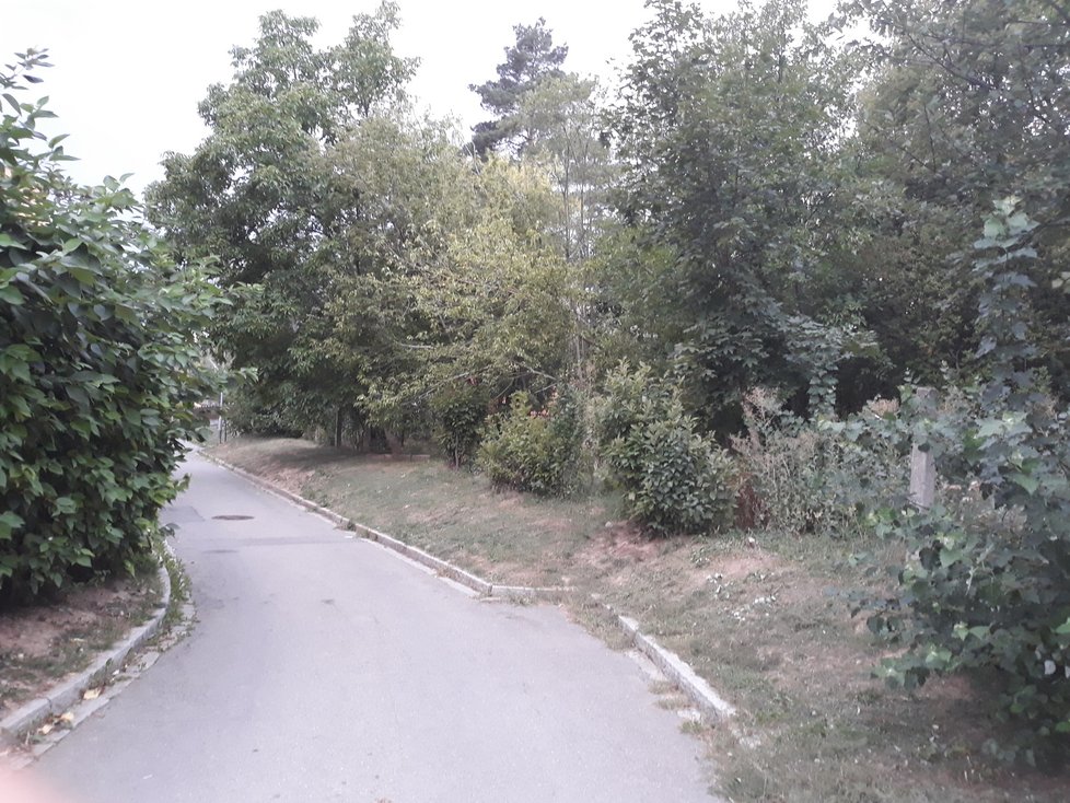 V okolí ulic Škrétovy, Družstevní a Terezy Novákové v brněnské čtvrti Řečkovice vyroste do příštího roku lesopark.