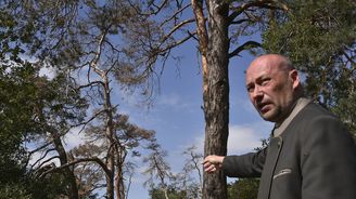 Lesy České republiky blokují přes čtvrt miliardy pro ostatní věřitele