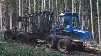 Lesům ČR klesl zisk o čtvrtinu, především kvůli kalamitám a nižším cenám dřeva