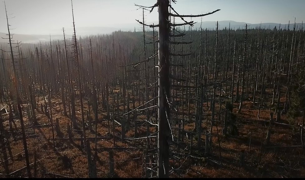 Příklad důsledků klimatických změn