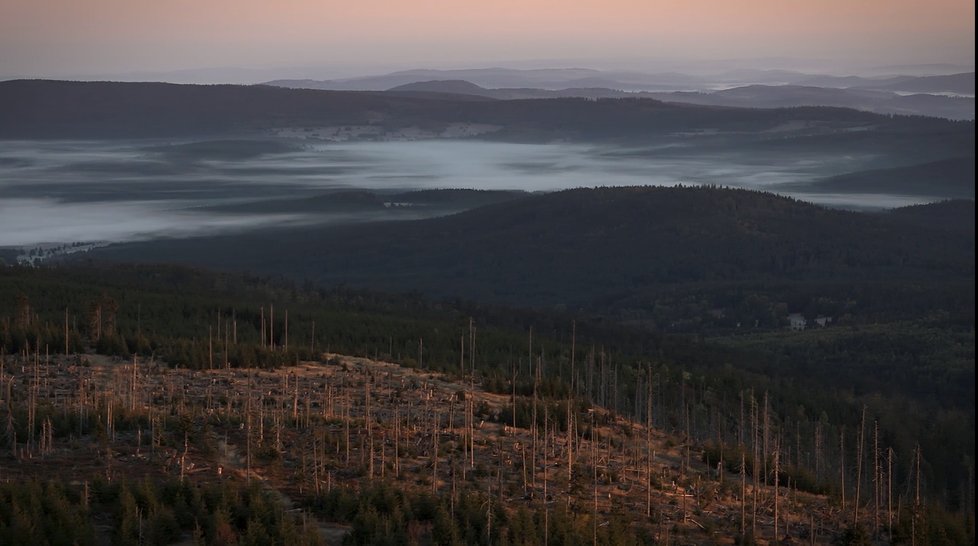 Příklad důsledků klimatických změn.