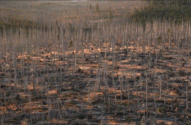 Příklad důsledků klimatických změn.