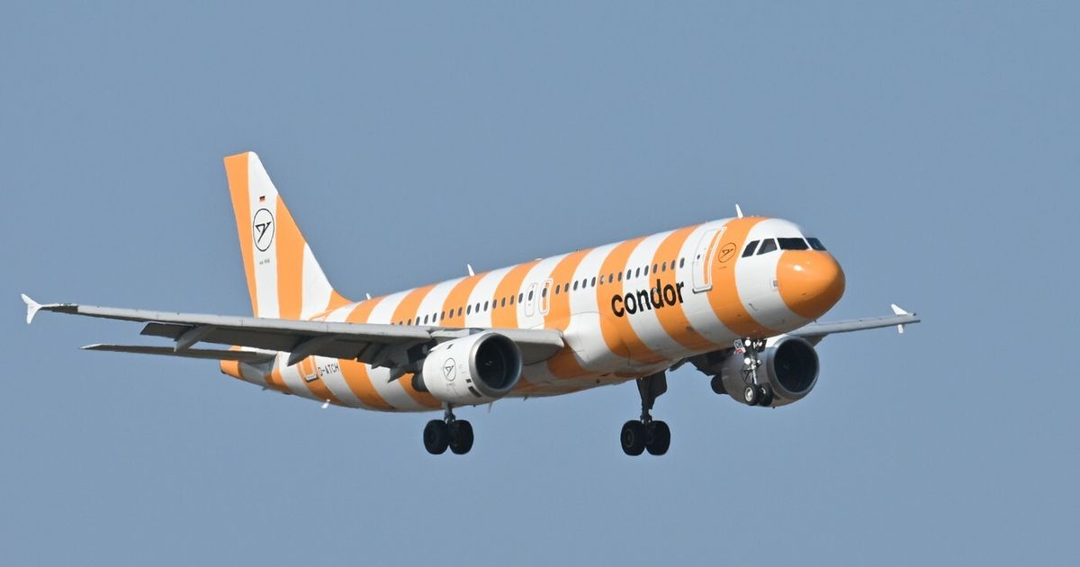 El misterioso accidente de un avión privado con 8 personas a bordo: ¡¿Sobrevivieron los pasajeros?!