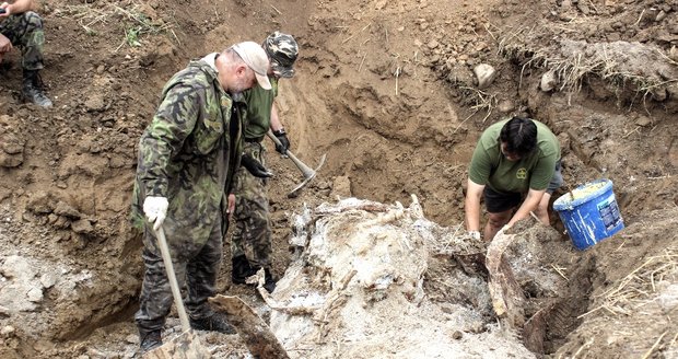 U Krnova sestřelili bitevník: Po 72 letech ho nyní našli, byl jen 20 cm pod zemí!