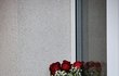 Radnice Zaječova vyvěsila smuteční prapor a vystavila květiny na památku zesnulého starosty.