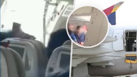 A passenger in Korea opened an emergency exit during a flight.