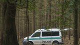 Děsivý nález na Břeclavsku: Ve zdemolovaném saabu v lese ležela mrtvola!