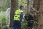 Do lesa na jižním Plzeňsku spadlo malé letadlo, dva lidé zahynuli.