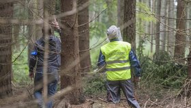 Osudové chyby: Letadlo se zřítilo na Klatovsku, zemřel pilot i opilá příbuzná 