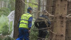 Do lesa na jižním Plzeňsku spadlo malé letadlo, dva lidé zahynuli.
