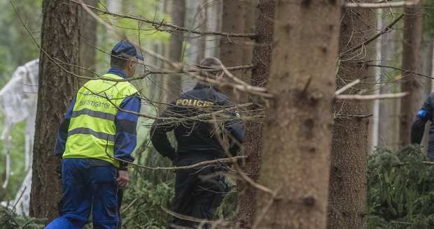 Vyslalo nouzový signál a pak se zřítilo do větví stromů: V letadle zahynul muž a žena 