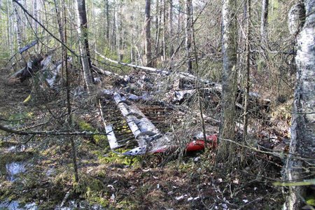 Nedaleko ruského města Jekatěrinburg nalezli trosky malého ruského letadla Antonov An-2, které loni v červnu zmizelo se 13 lidmi na palubě.