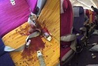 Horor v letadle: Panika, zkrvavené sedačky, 6 lidí v nemocnici. Za vše můžou turbulence