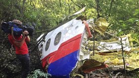 Trosky letadla MH17.