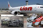 Boeingy 737 MAX 8 společností Lion Air a Ethiopian Airlines poslala k zemi zřejmě stejná technická závada, nehody si vyžádaly životy 346 lidí.