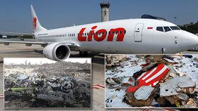 Boeingy 737 MAX 8 společností Lion Air a Ethiopian Airlines poslala k zemi zřejmě stejná technická závada, nehody si vyžádaly životy 346 lidí.