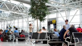 Přistávací dráha bratislavského letiště je kvůli českému pilotu poškozená