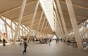 Letiště bude od podlahy po strop ze dřeva a skla