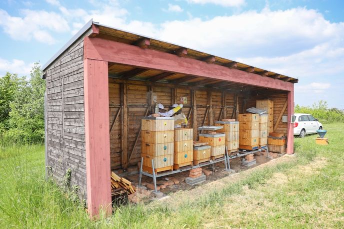 Letiště Praha zasílá vzorky svého medu do soutěže pravidelně od roku 2013. Letiště Praha zasílá vzorky svého medu do soutěže pravidelně od roku 2013.
