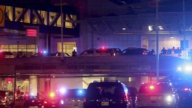 Na mezinárodním letišti v New Orleans se střílelo. Útočník napadl ochranku sprejem proti hmyzu a mačetou.