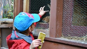 Na Letné myslivci učili Pražany myslivosti: Přivezli i živá zvířata