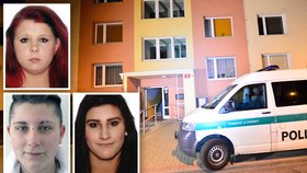 Vražedkyně, nebo svědkyně? V souvislosti s pondělní vraždou seniora (†72) v pražských Letňanech policie stále pátrá po třech dívkách. Ty údajně byly na místě činu.