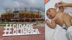 Letní olympijské hry v Brazílii jsou v ohrožení kvůli viru zika.