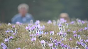 Velikonoce ovládnou jarní teploty, dubnové teploty se pošplhají k 17 stupňům.