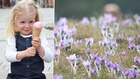 Jak bude? Nejprve mírné aprílové ochlazení, ale hned ve čtvrtek bude jako v červenci! Rtuť teploměru vyšplhá na letních 25 °C.