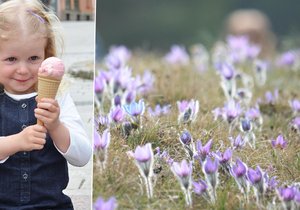 Jak bude? Nejprve mírné aprílové ochlazení, ale hned ve čtvrtek bude jako v červenci! Rtuť teploměru vyšplhá na letních 25 °C.