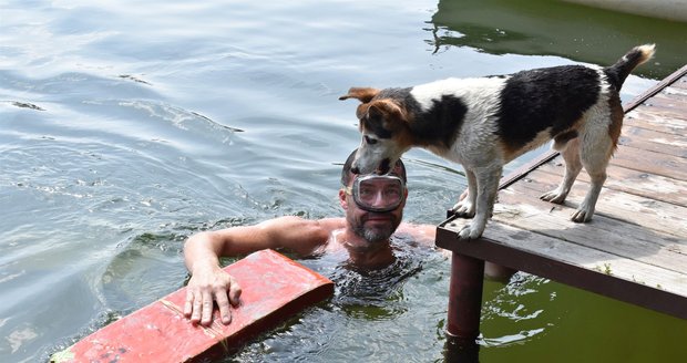 Pes Jimbo sledoval z mola svého pána při tréninku libereckých orientačních potápěčů.