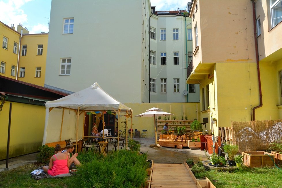 Čajová zahrada poprvé otevřela 11. července, měsíc poté, co získala finance od podporovatelů na Startovači.