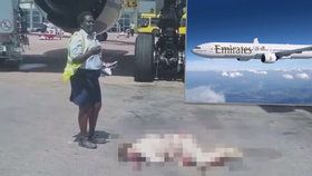 Letuška společnosti Emirates zemřela po pádu z letadla!