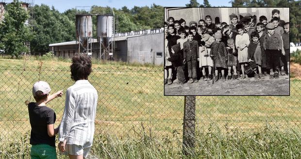 Letité tahanice o vepřín v Letech končí? Vláda jedná o ceně odkupu