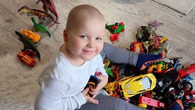 Kubík (3) onemocněl akutní leukémií: Maminka popsala plíživé příznaky!