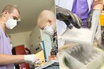 Desetiletý chlapec s leukemií má novou naději. Jako první Čech se bude léčit pomocí vlastních geneticky upravených bílých krvinek.
