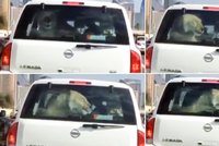 Pozor, nebezpečný náklad! V Dubaji natočili lva v autě