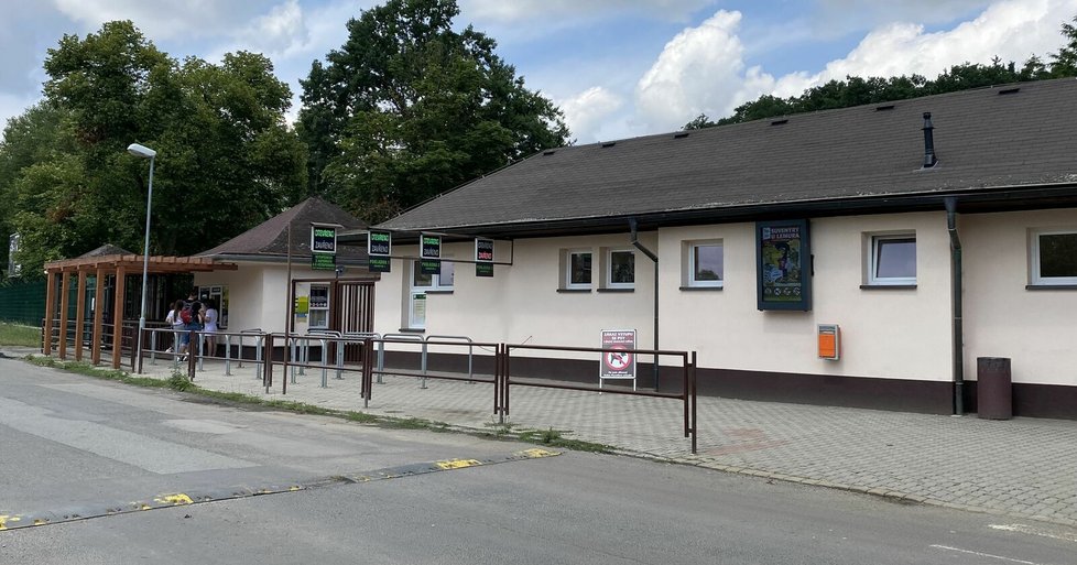 Lvi berberští v plzeňské zoo mají nový výběh.