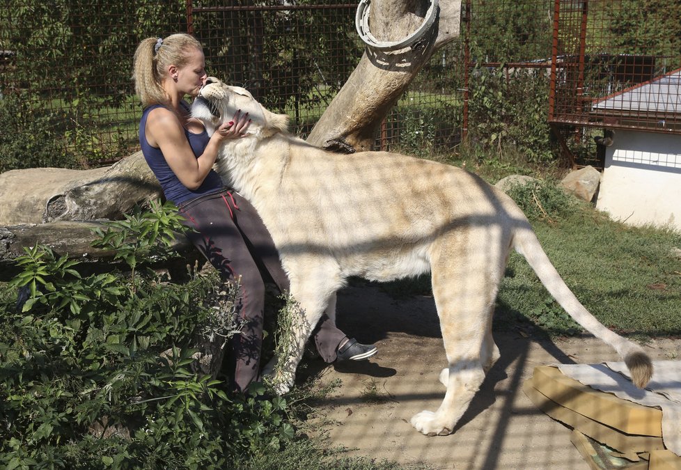 Angie Horká doma na zahradě chová lva Dína. Jde sice z něj respekt, ale mazlí se spolu skoro každý den.