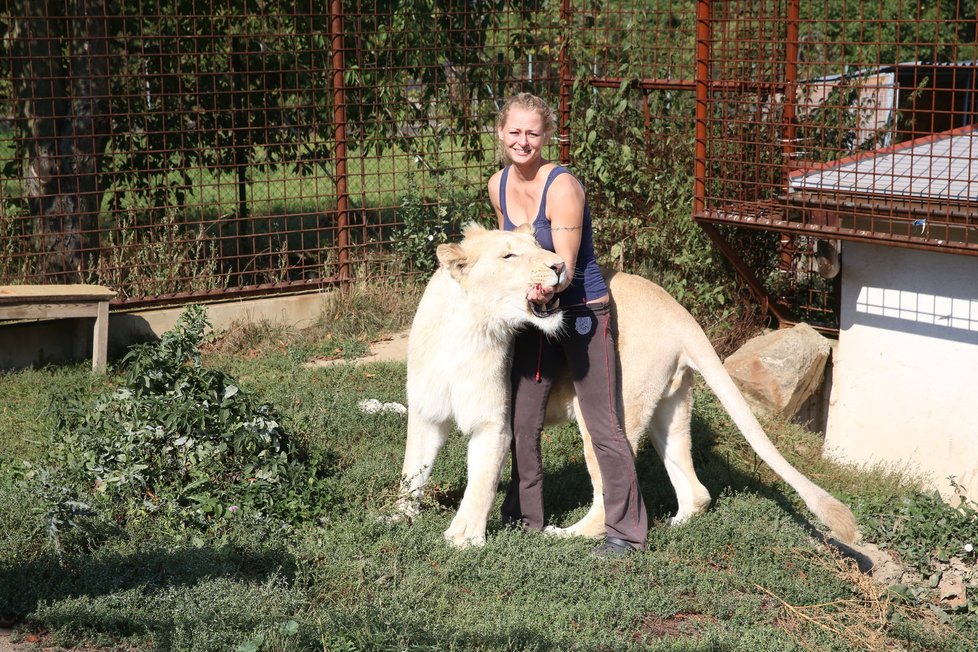 Angie Horká doma na zahradě chová lva Dína. Jde sice z něj respekt, ale mazlí se spolu skoro každý den.
