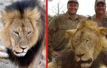Pomáhali zabít lva Cecila: U soudu jim hrozí 10 let!